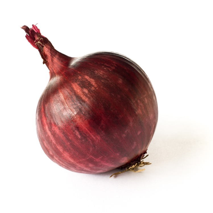 onion dark web