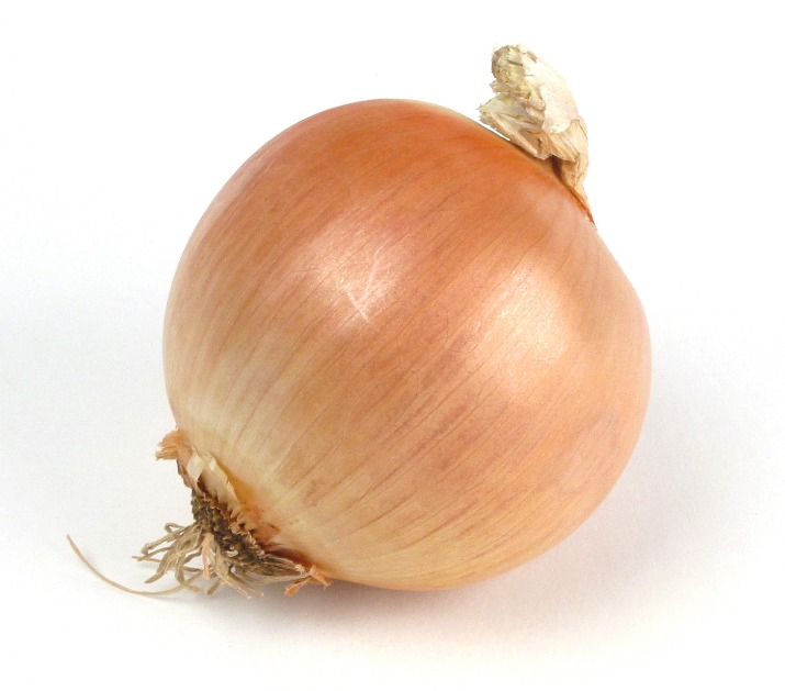 onion links credit card