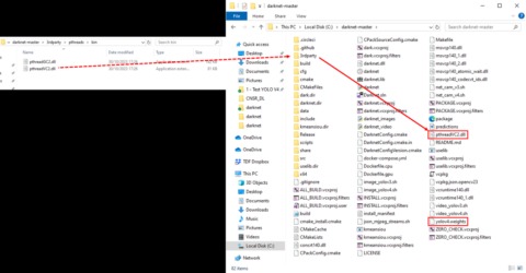 darknet database market