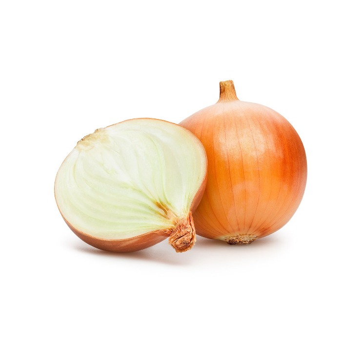 onion directory