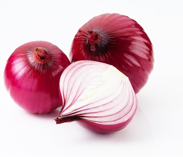 onion directory