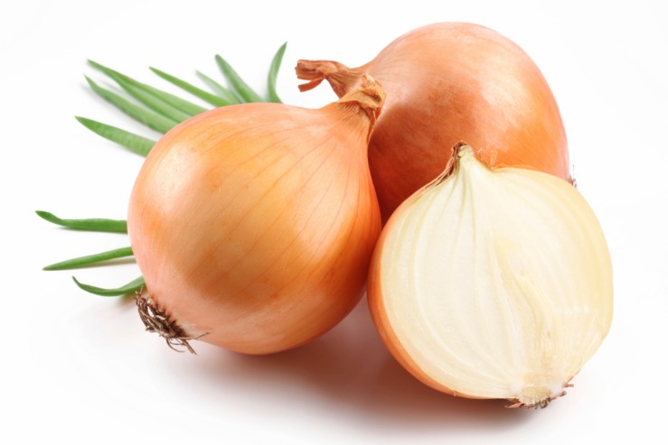 onion directory