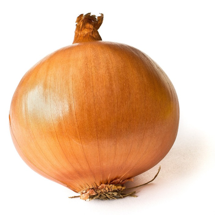 onion directory