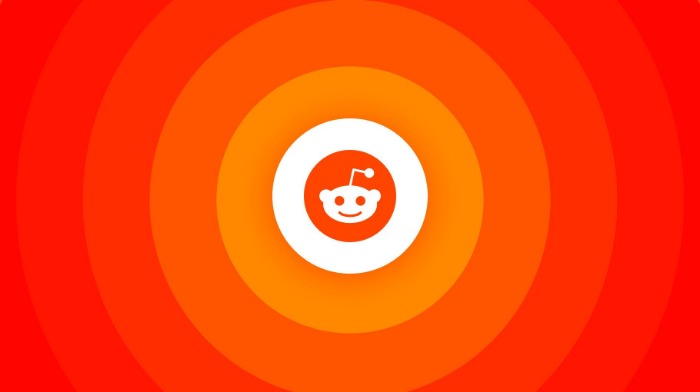 reddit darknet market noobs bible