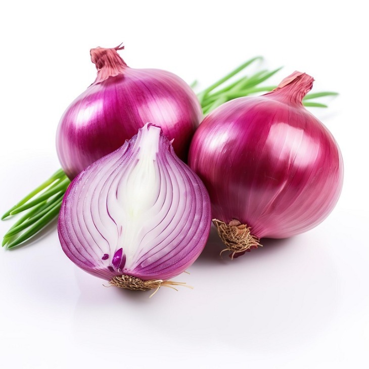 onion directory list