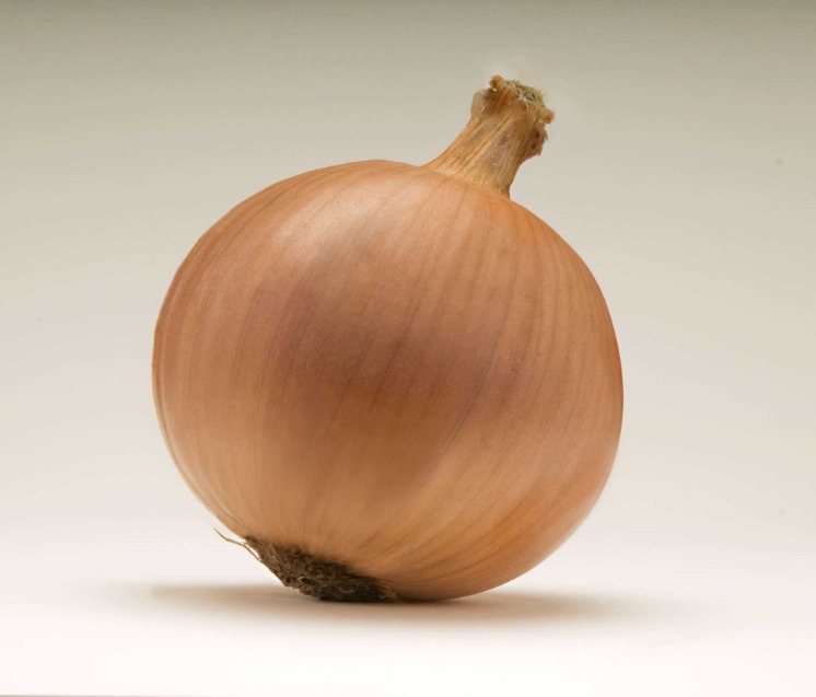 onion directory list