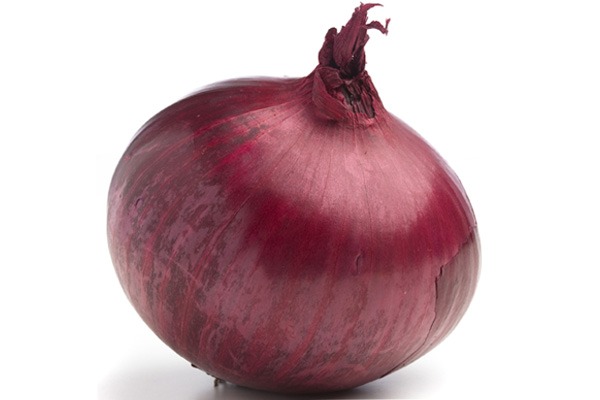 onion darknet market