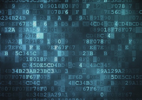 bohemia market darknet