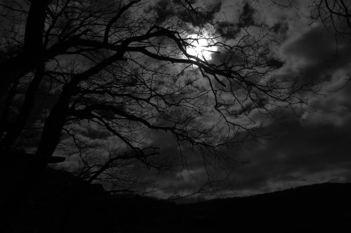 dark net market list reddit