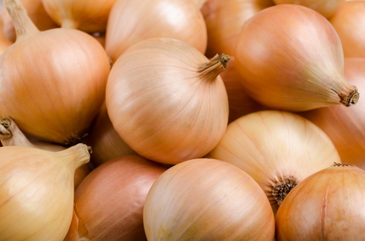 onion link search engine