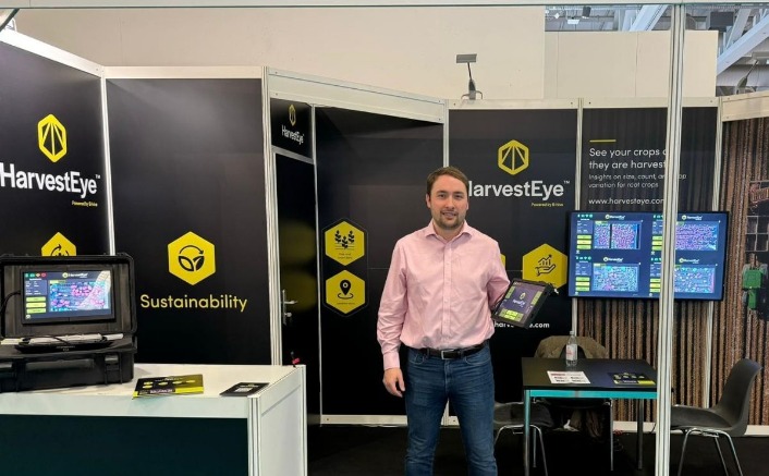 dark web onion markets