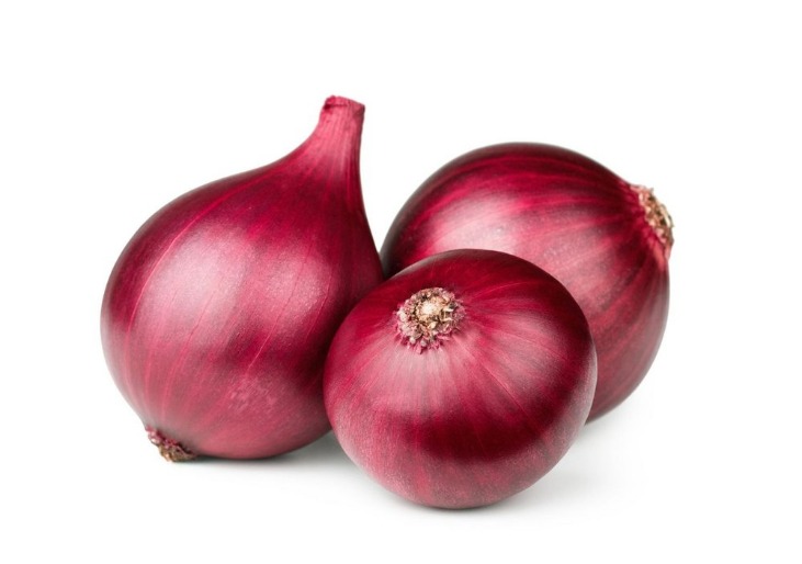 onion directory 2025