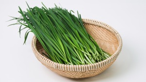 where to find onion links