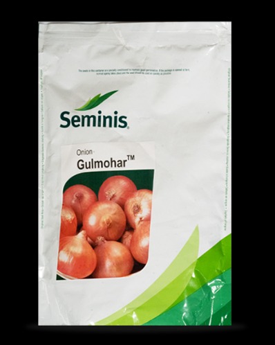 tormarket onion