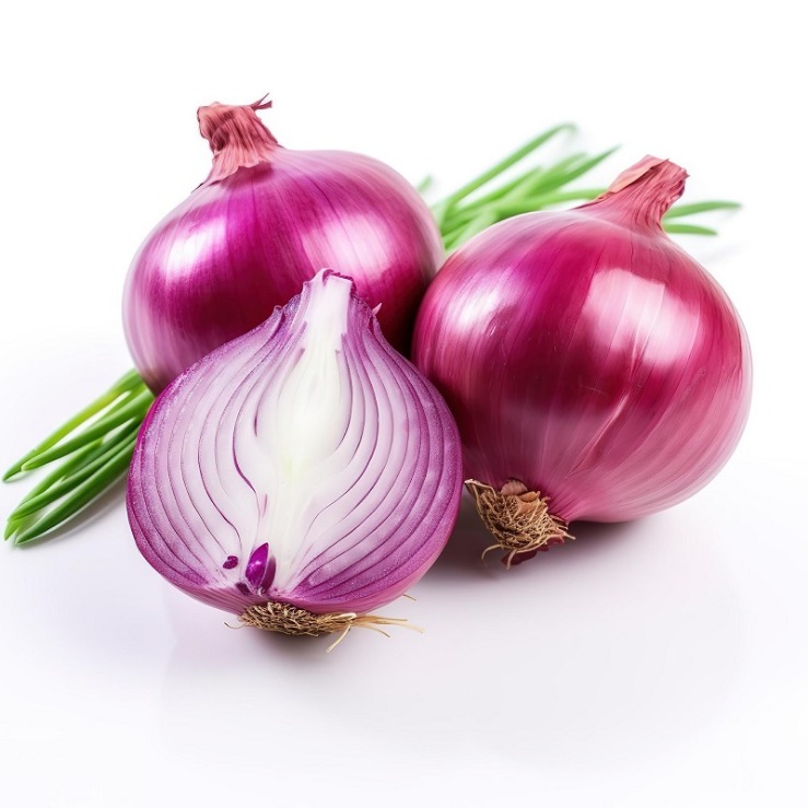 onion dark web list