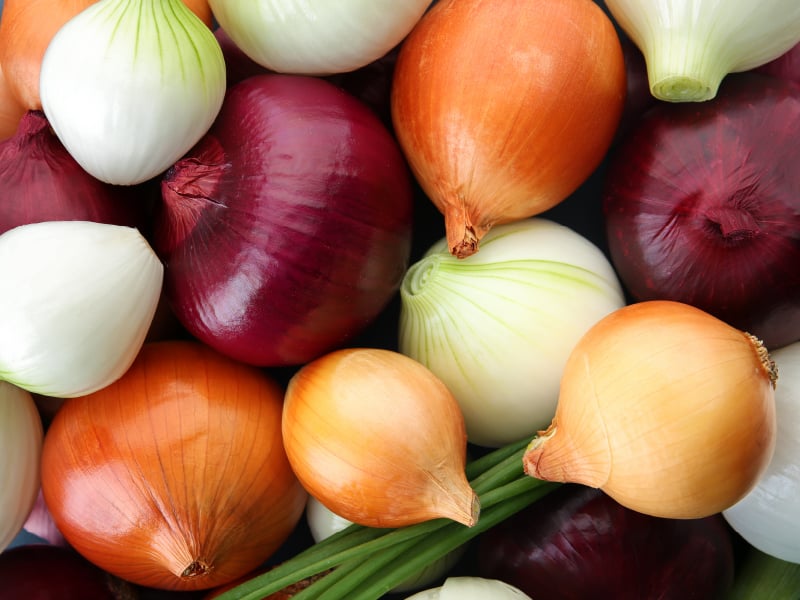 onion links sites
