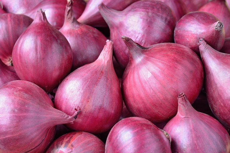 onion deep web wiki