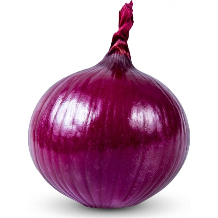 onion link