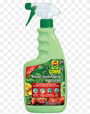 asap market link