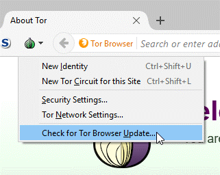 how do i access the dark web